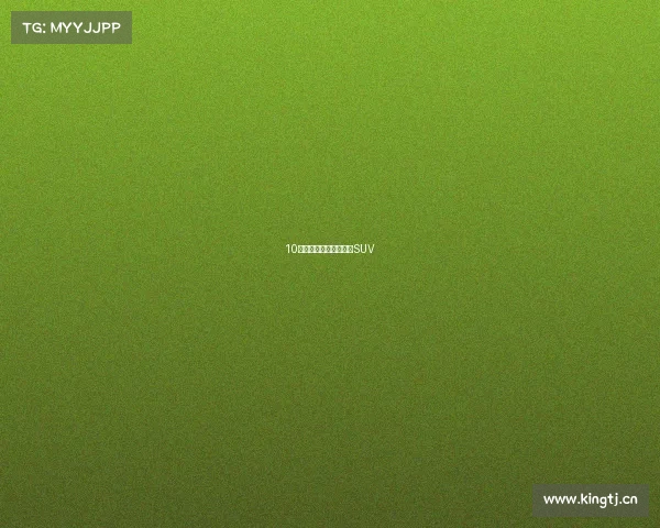 10万元看看能买什么二手SUV